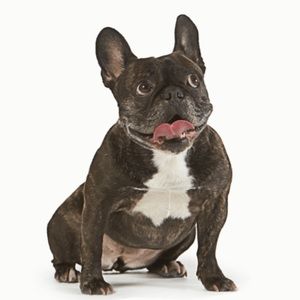 Meet your Posher, Sonia